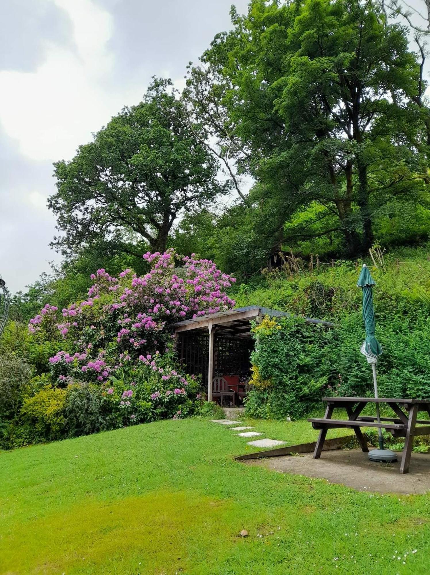 'Morris' The Shepherd'S Hut And Woodland Hot Tub Experience Carmarthen Exterior photo