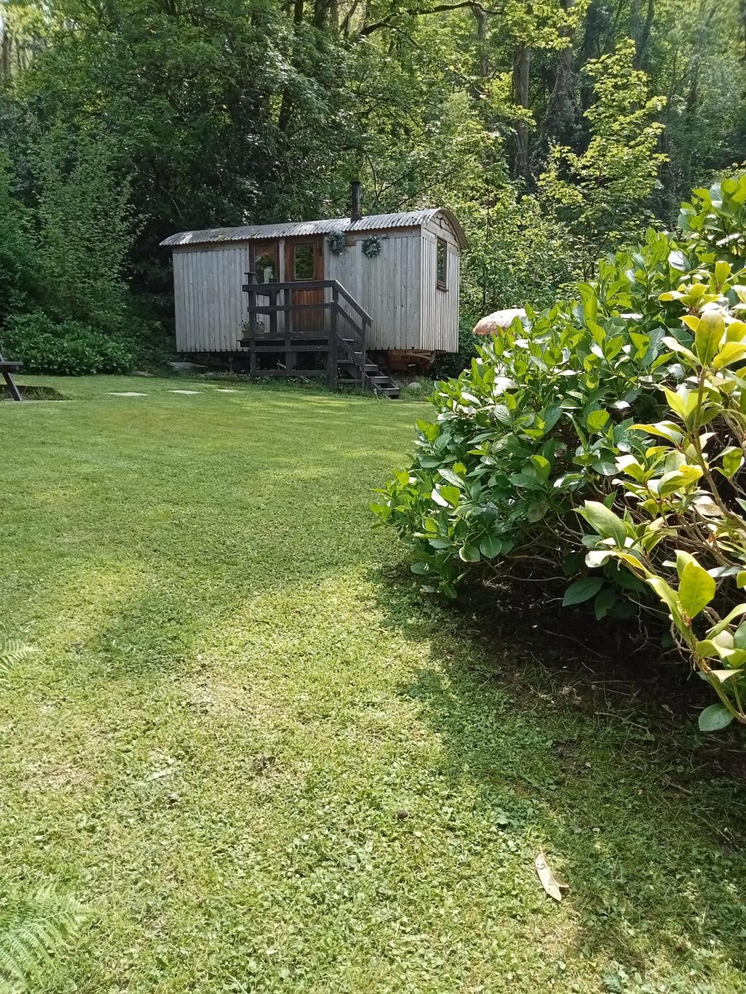 'Morris' The Shepherd'S Hut And Woodland Hot Tub Experience Carmarthen Exterior photo