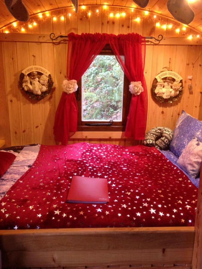 'Morris' The Shepherd'S Hut And Woodland Hot Tub Experience Carmarthen Exterior photo