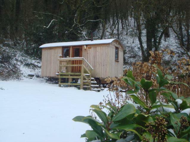 'Morris' The Shepherd'S Hut And Woodland Hot Tub Experience Carmarthen Exterior photo