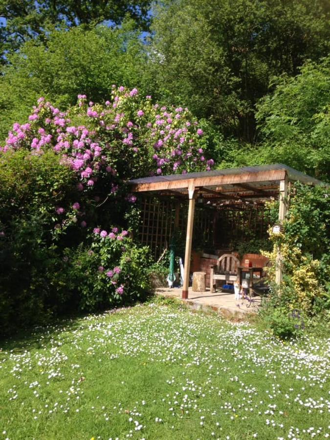 'Morris' The Shepherd'S Hut And Woodland Hot Tub Experience Carmarthen Exterior photo